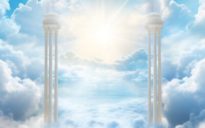 (+) Elvira Linares Chagoya